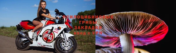 прущая мука Медвежьегорск