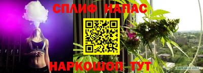 мяу мяу мука Берёзовский