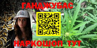 гидра Бийск