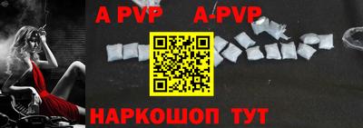 гашик Берёзовский