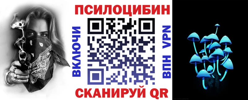 где можно купить Владикавказ Псилоцибиновые грибы ЛСД