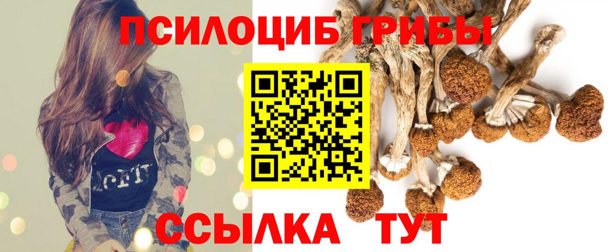 купить   Владикавказ  Псилоцибиновые грибы мухоморы 