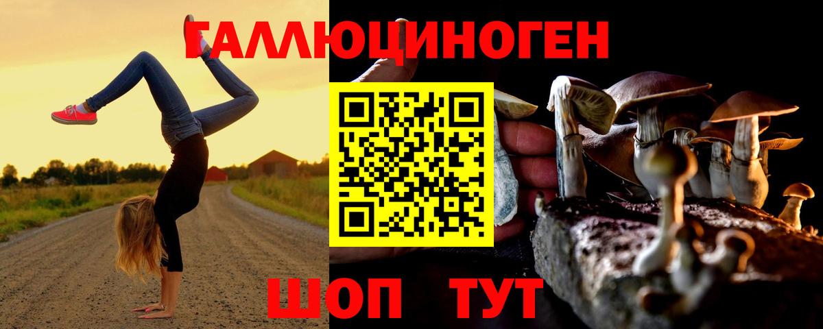 Владикавказ  Псилоцибиновые грибы мицелий  Вход с VPN 